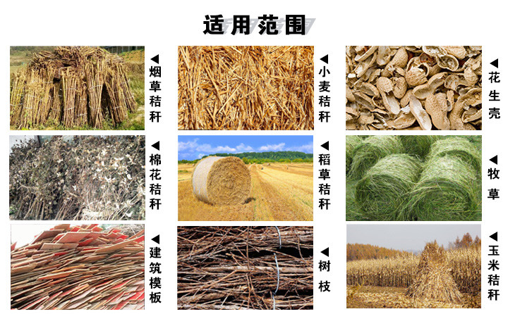 煙桿顆粒機(jī)原料:煙草秸稈、玉米秸稈、小麥秸稈等 煙桿顆粒機(jī)原料:煙草秸稈、玉米秸稈、小麥秸稈等